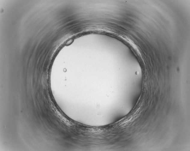 X0000086980799200705141714