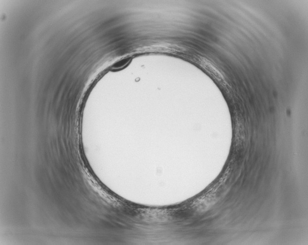 X0000086980800200705141714