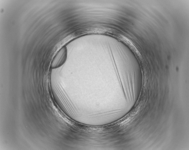 X0000086980802200705141714