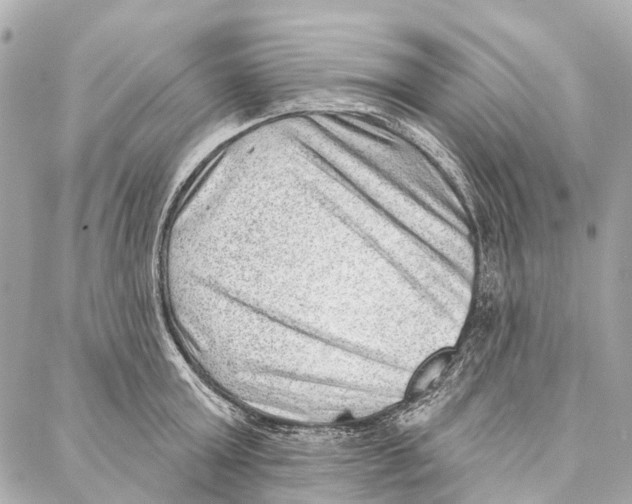 X0000086980803200705141714