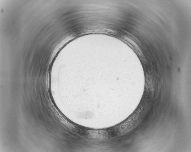 X0000086980804200705141714