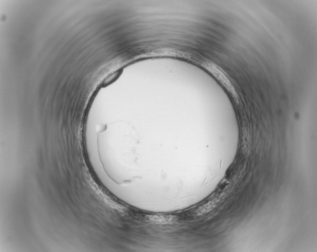 X0000086980805200705141714