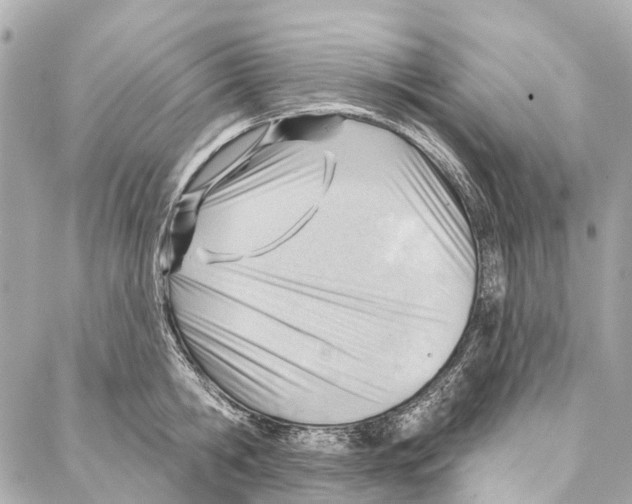 X0000086980806200705141714