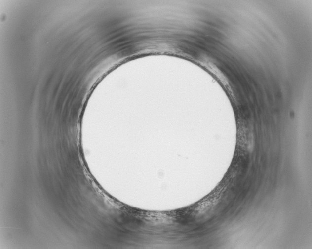 X0000086980807200705141714