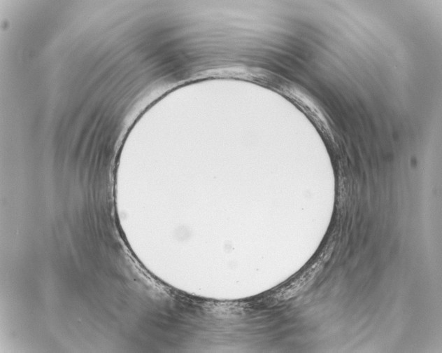 X0000086980808200705141714