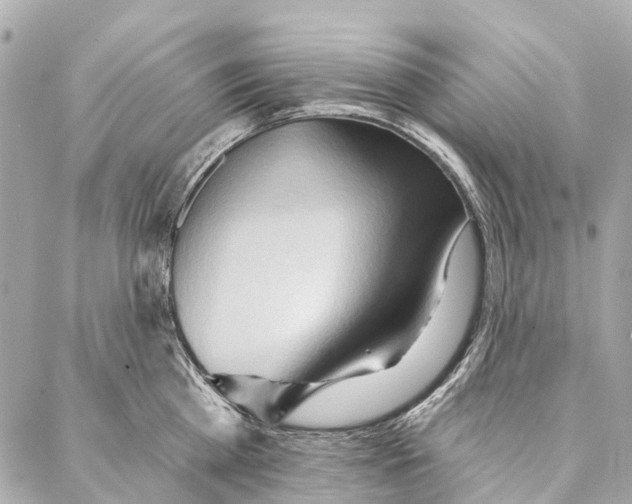 X0000086980809200705141714