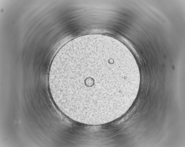 X0000086980810200705141714