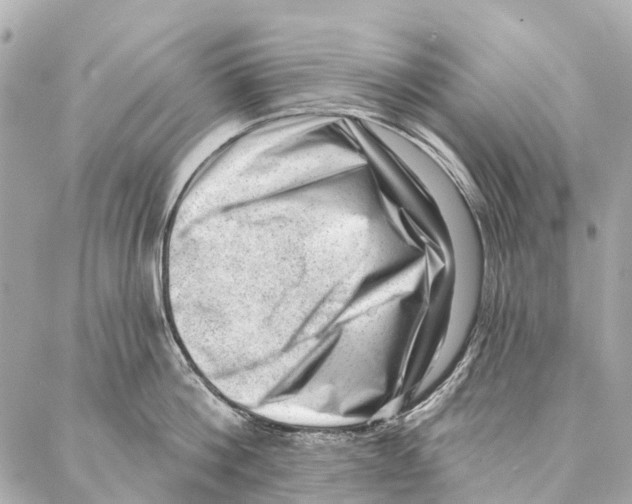 X0000086980812200705141714