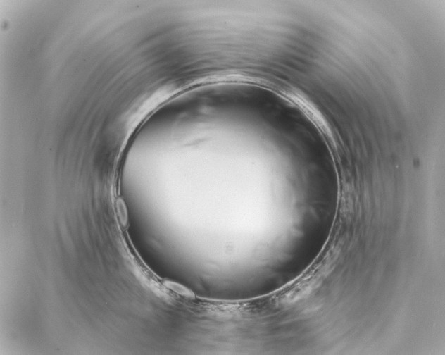 X0000086980813200705141714