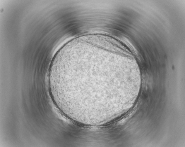 X0000086980814200705141714