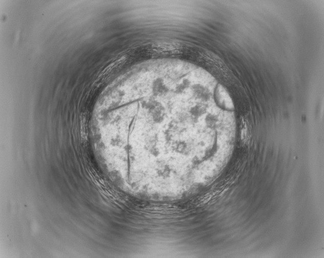 X0000086980819200705141713