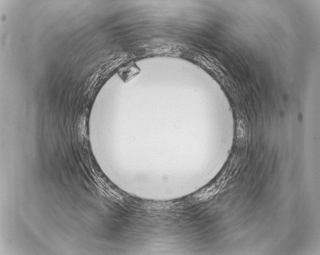 X0000086980820200705141713