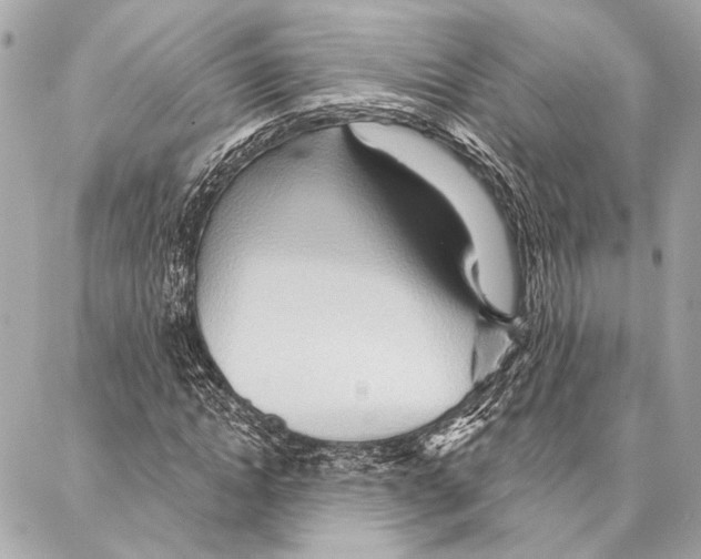 X0000086980822200705141713