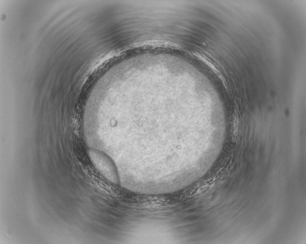 X0000086980823200705141713