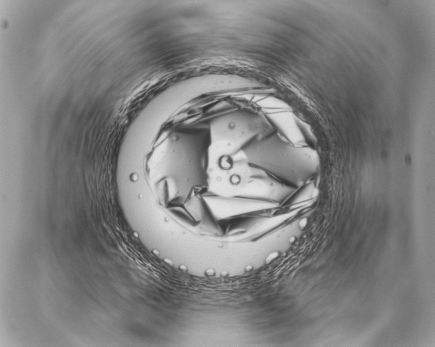 X0000086980824200705141713