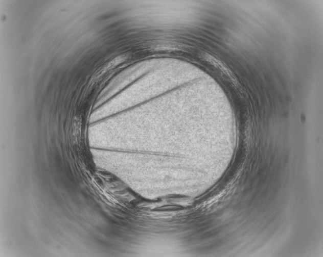 X0000086980825200705141713