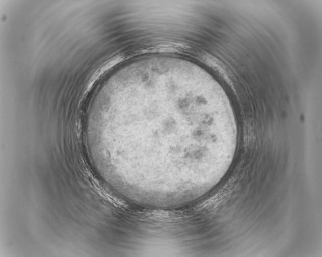 X0000086980827200705141713