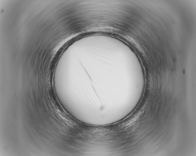 X0000086980830200705141714