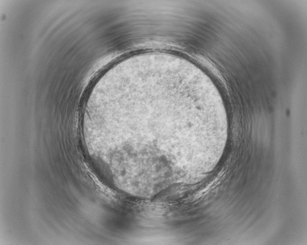 X0000086980831200705141714