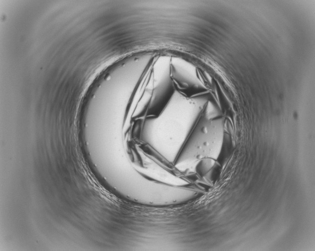 X0000086980832200705141714