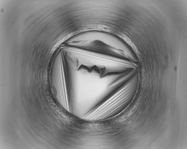 X0000086980834200705141714