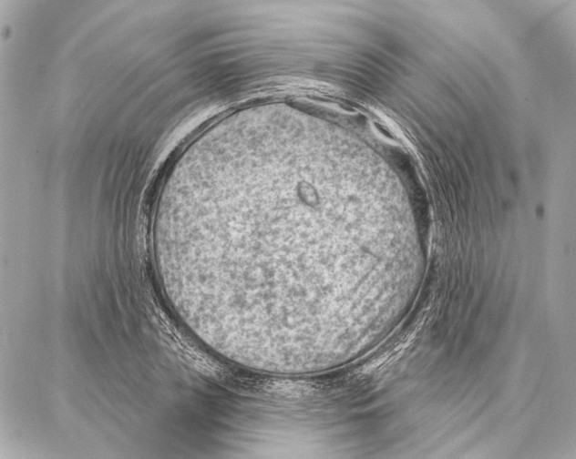 X0000086980835200705141714