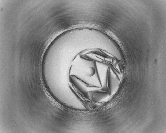 X0000086980836200705141714