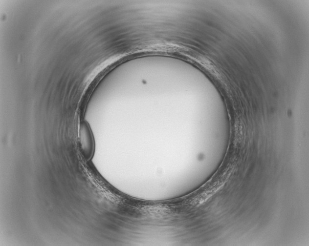 X0000086980838200705141714