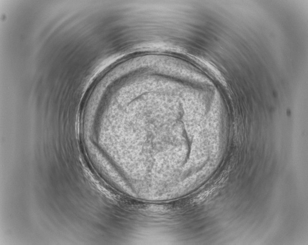 X0000086980839200705141714