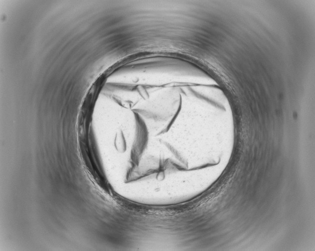 X0000086980840200705141714