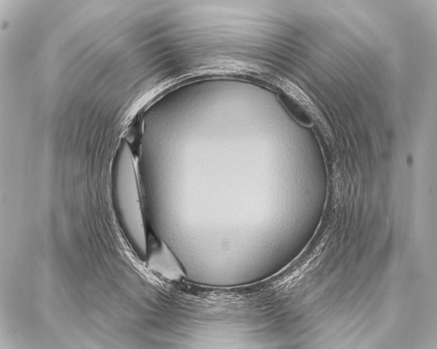 X0000086980842200705141714