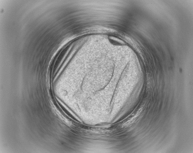 X0000086980843200705141714