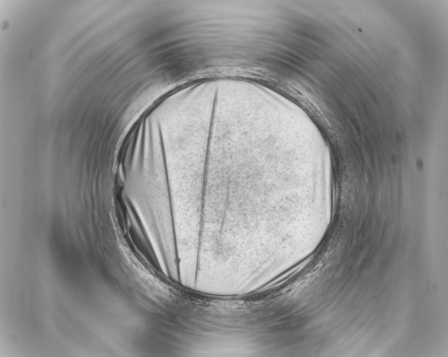 X0000086980844200705141714