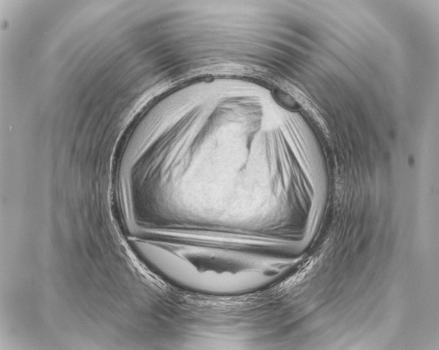 X0000086980845200705141714