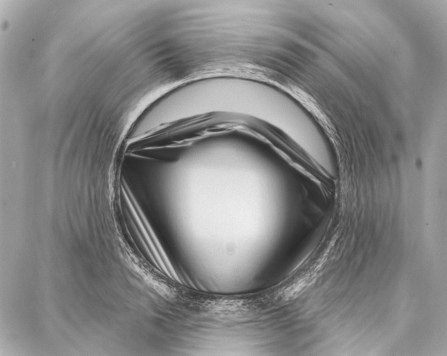 X0000086980846200705141714