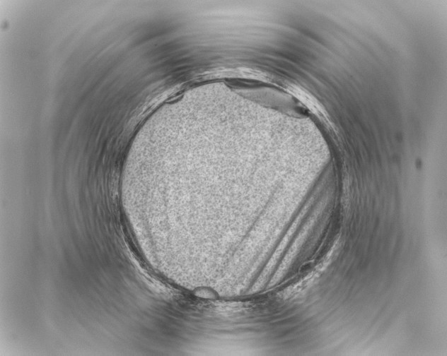 X0000086980849200705141714