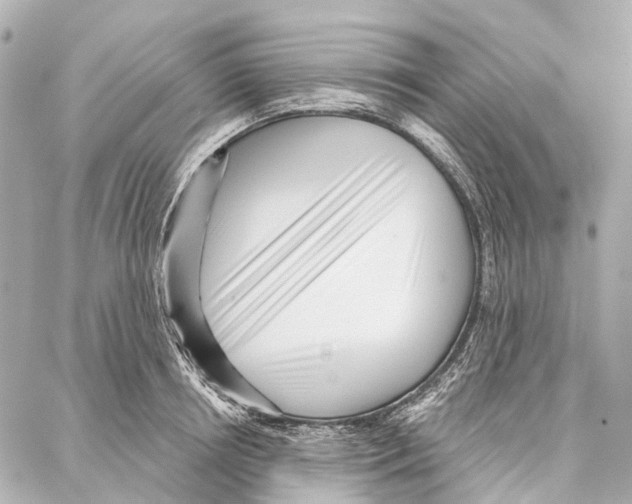 X0000086980850200705141714