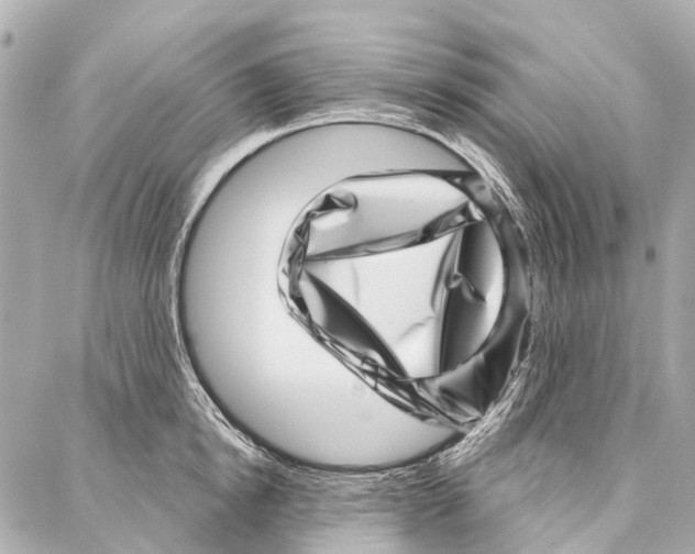 X0000086980854200705141714