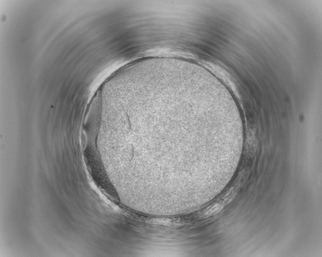 X0000086980855200705141714