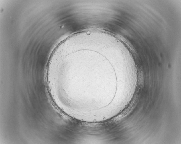 X0000086980856200705141714