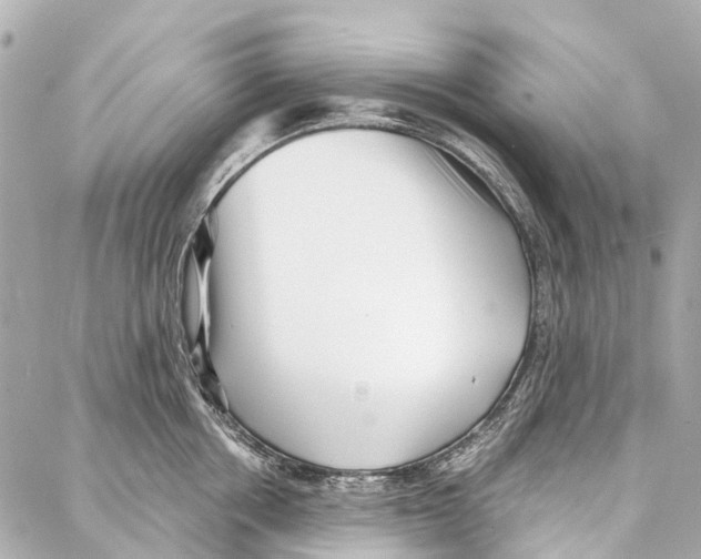 X0000086980858200705141714