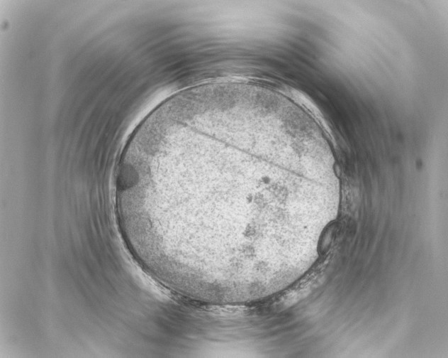 X0000086980859200705141714