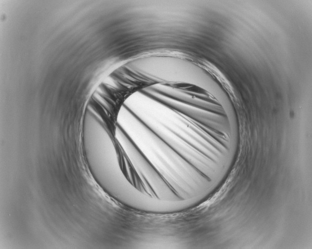 X0000086980860200705141714