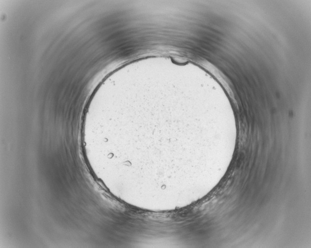 X0000086980861200705141714