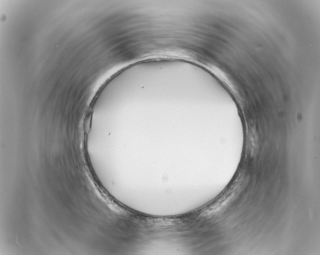 X0000086980862200705141714