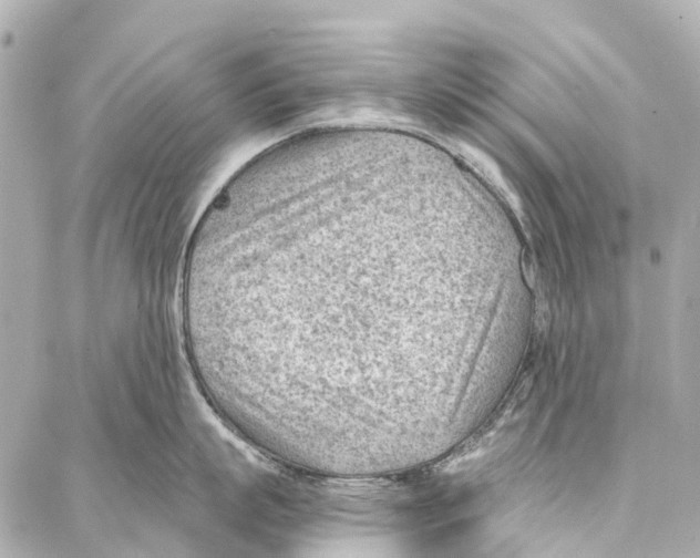 X0000086980863200705141714