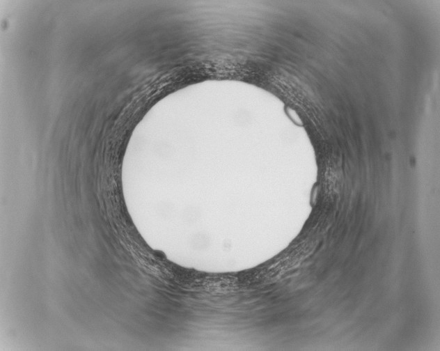 X0000086980865200705141713