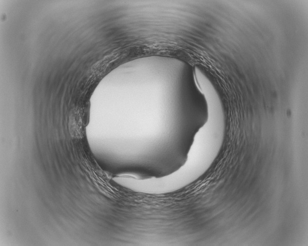 X0000086980868200705141713