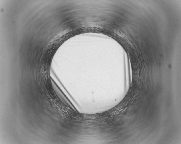 X0000086980870200705141713