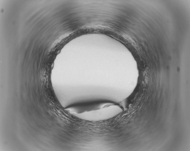 X0000086980872200705141713